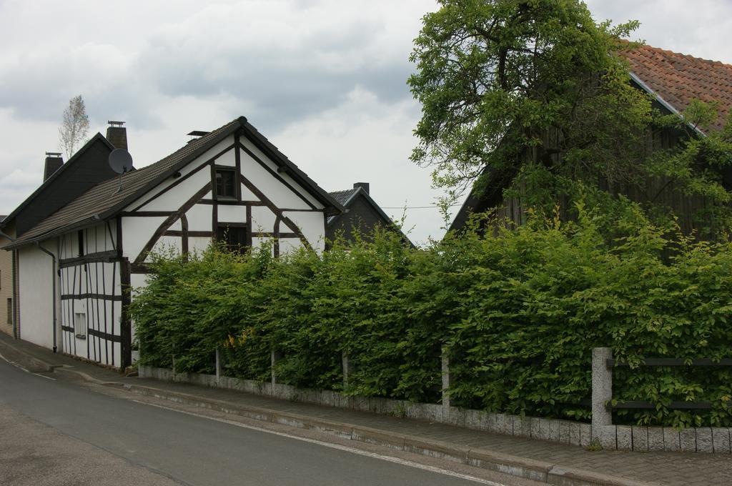 Authentiek Eifelhuis Hecken Rom bilde